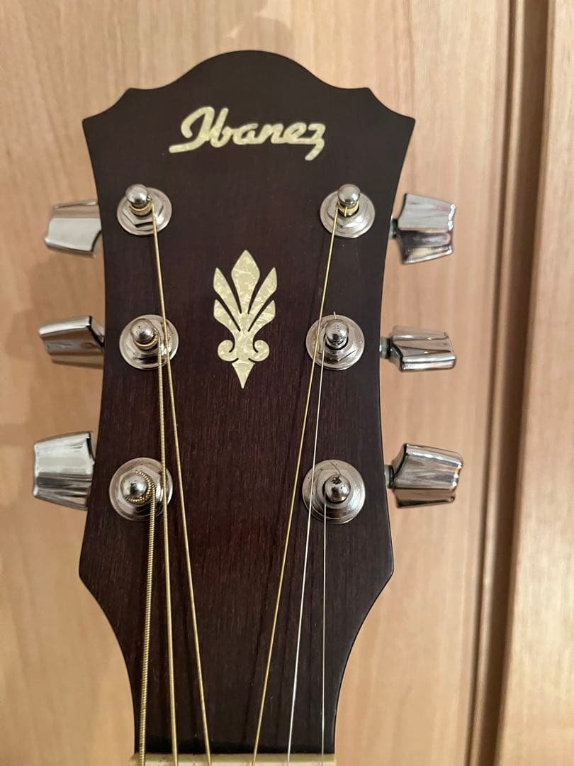 Ibanez AEL20E / AEL40SEジャンク　ケース付