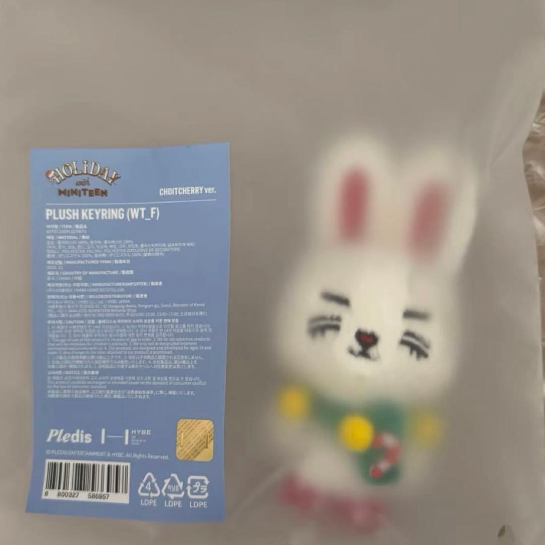 SEVENTEEN MINITEEN エスクプス HOLIDAY キーリング