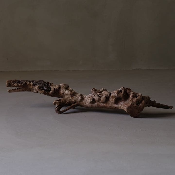 瘤杢 ワニのオブジェ 流木 古材 木製 置物 アート 芸術 アンティーク 古道具
