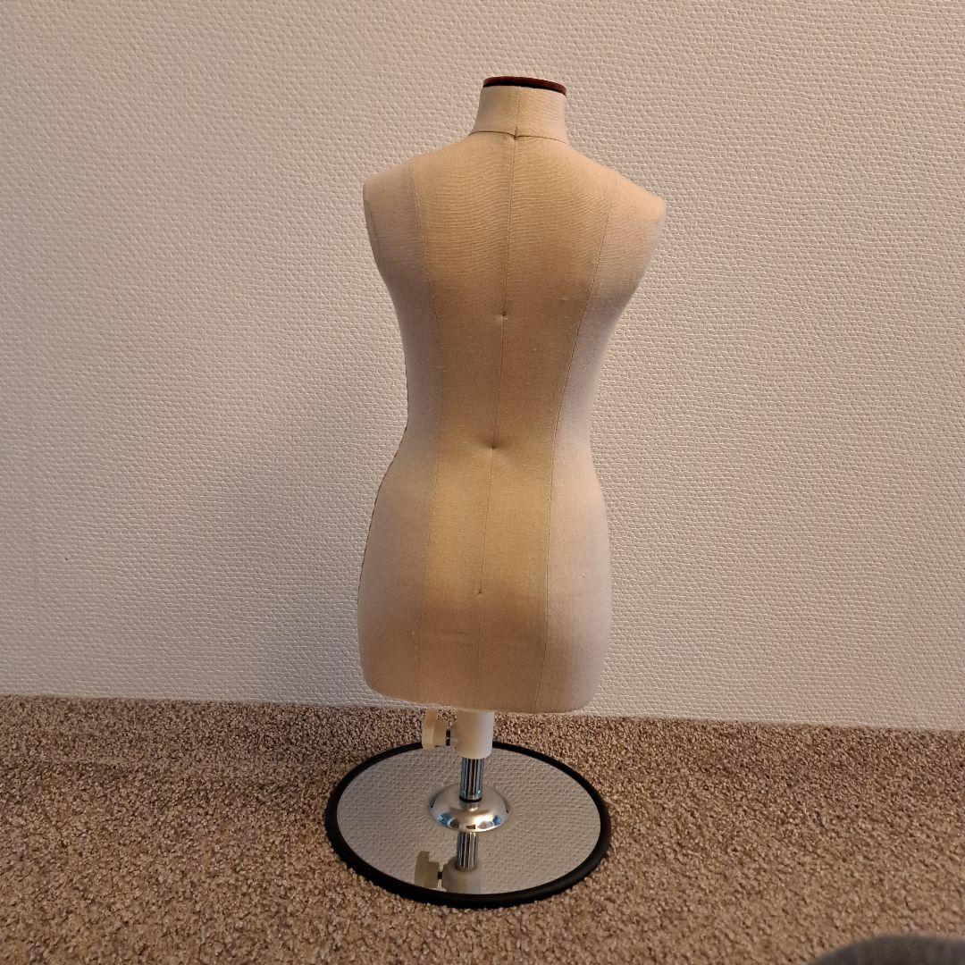 ボディ トルソー 文化 2分の1 （譲受後、未使用品）