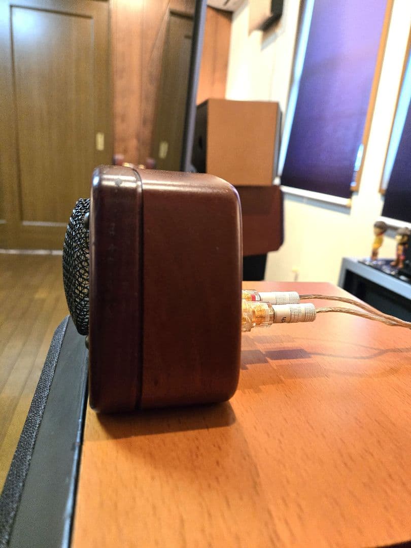 CORAL HD-10スーパーツイ－ターペア　美品