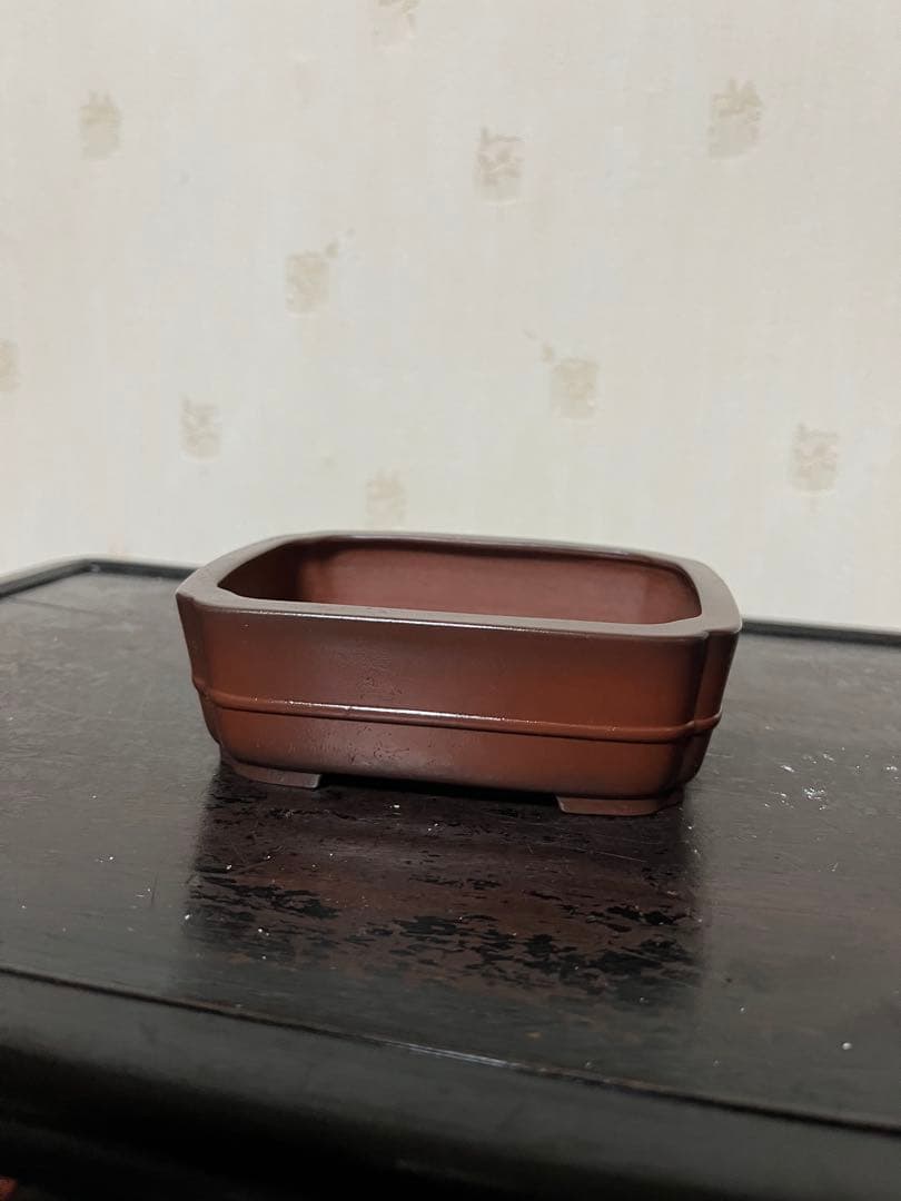 470 盆栽　盆栽鉢　植木鉢　和鉢　美芸