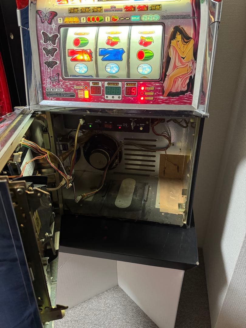 南国育ち 4号機 メダル不要機