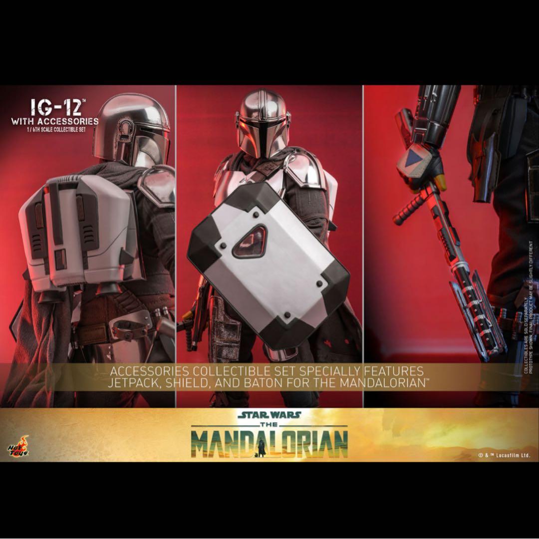 【バッキー】IG-12 アクセサリーセット ＆　ボーナスアクセサリー台座