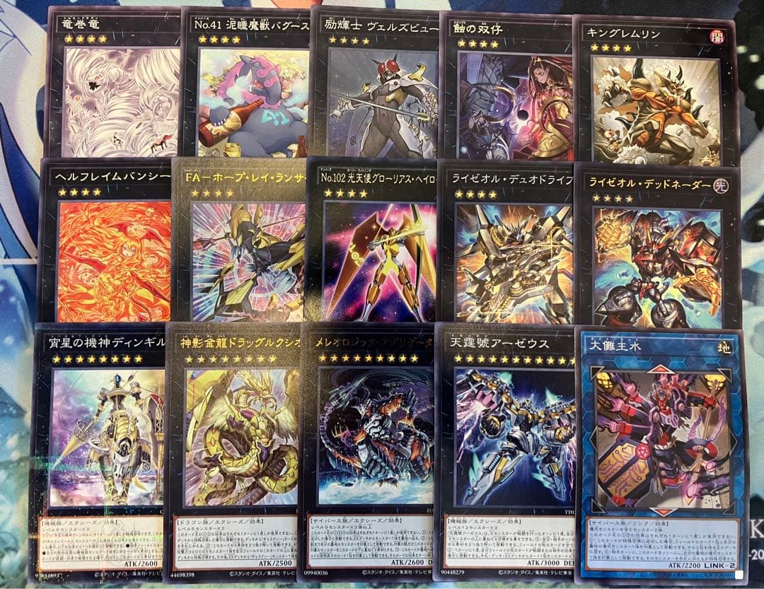 Ｆ*Ｆ様 フォロワー様5%オフ　大会構築　巳剣ライゼオルデッキ　②