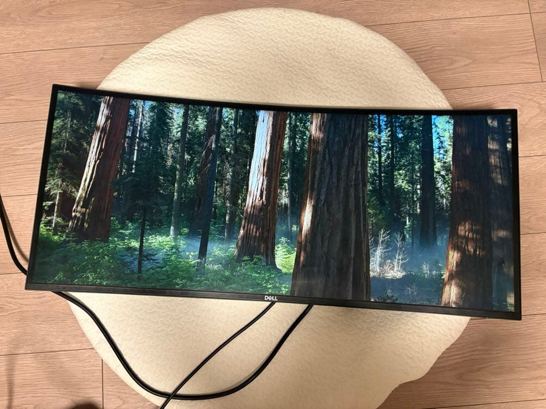 ジャンク Dell U3421WE 34.14インチ 曲面ウルトラワイドモニター