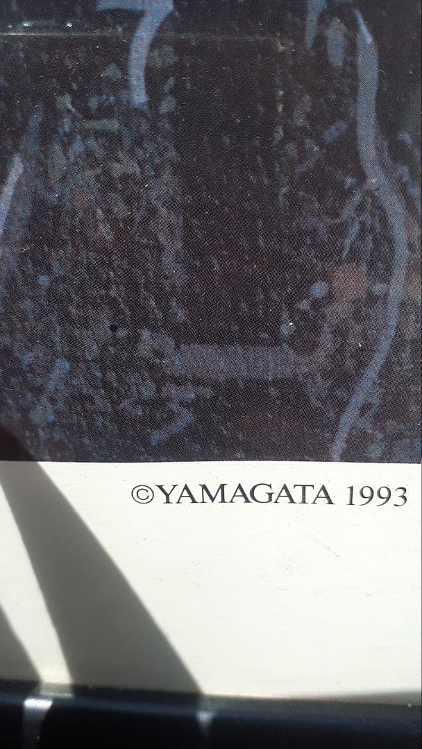 激安。デカい特大！額入り！ヒロ・ヤマガタ VENICE MAGAZINE