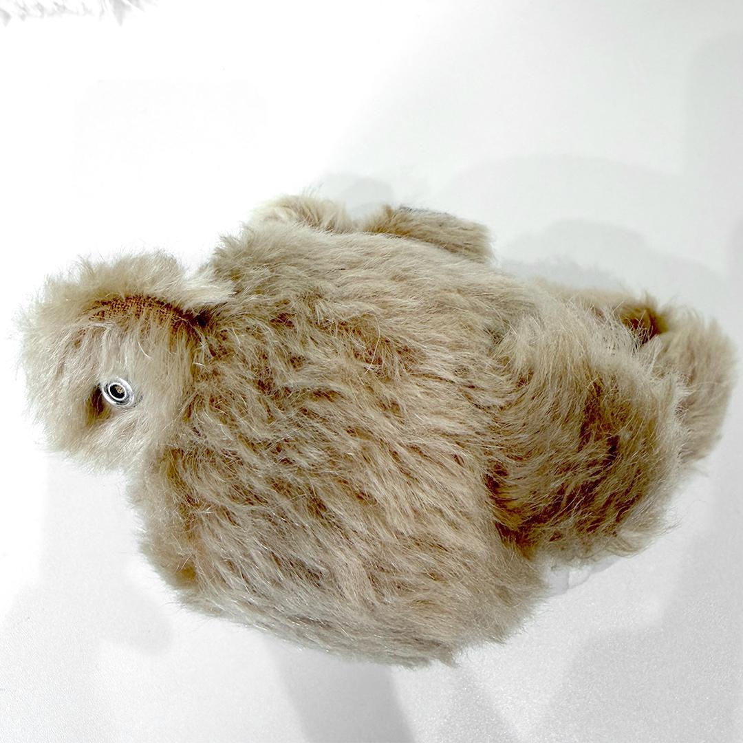 入手困難 シュタイフ Steiff RILY 今市隆二 コラボ テディベア 白T