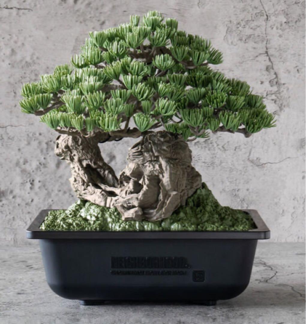 その他 BANDAI BONSAI MODEL KIT
