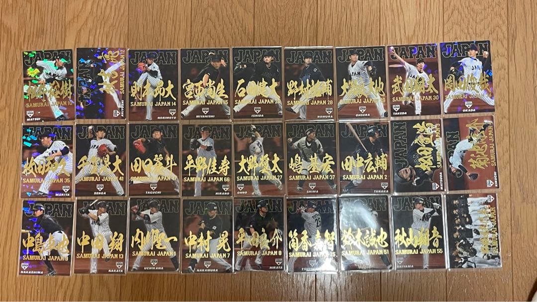 プロ野球チップス 日本代表カード 2017