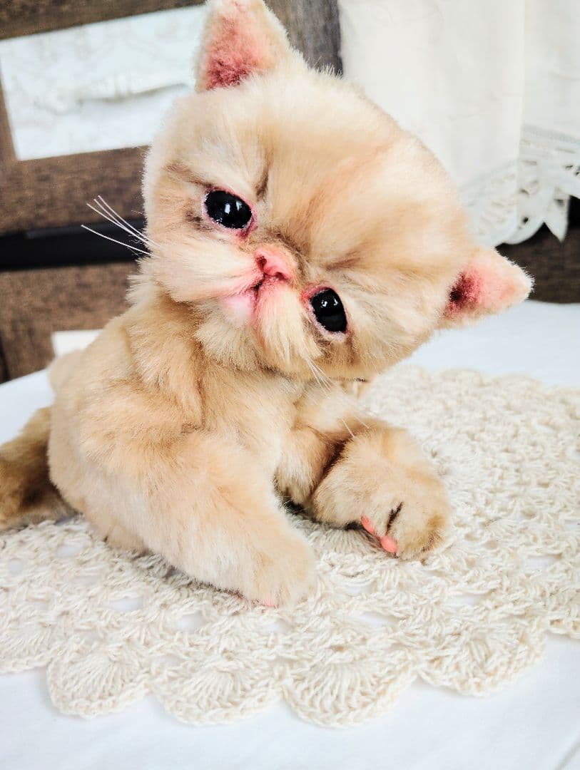 高級ファー♡エキゾチックショートヘア♡子猫のベルちゃん♡アートドール♡ぬいぐるみ