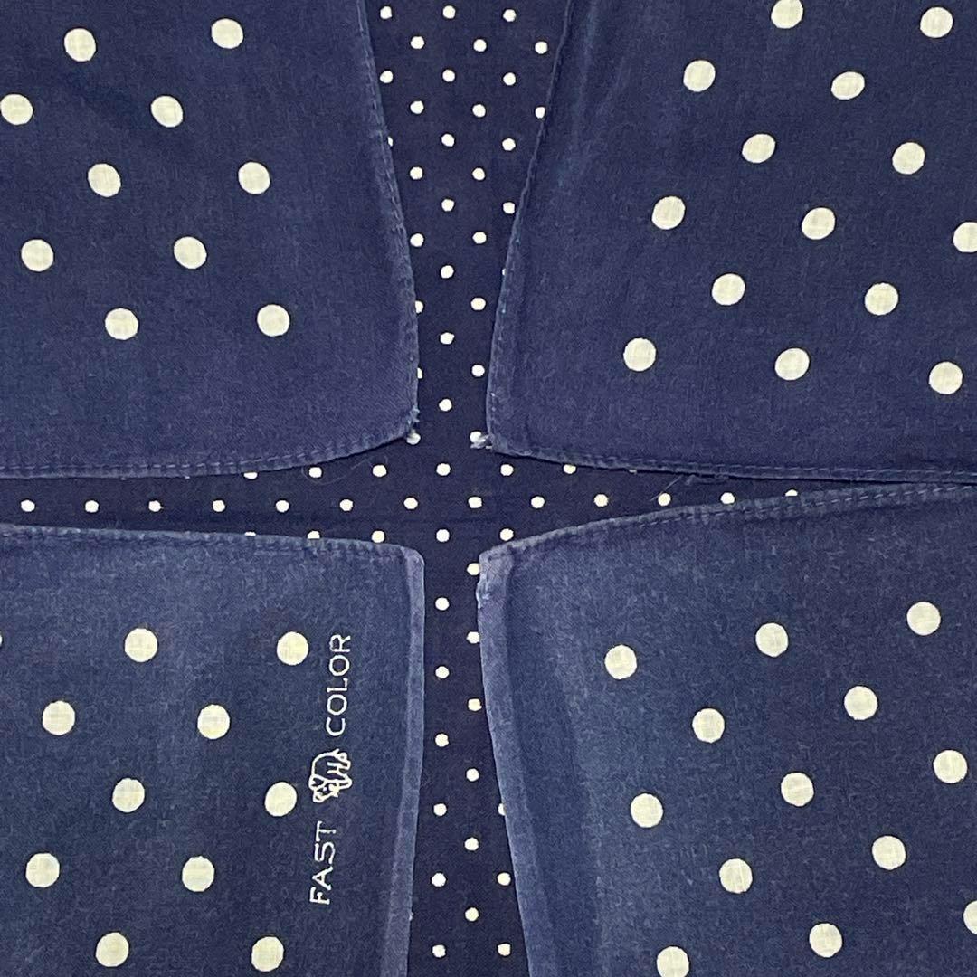 希少30s40s ポルガドット 下鼻 ゾウ 片耳 FAST COLOR