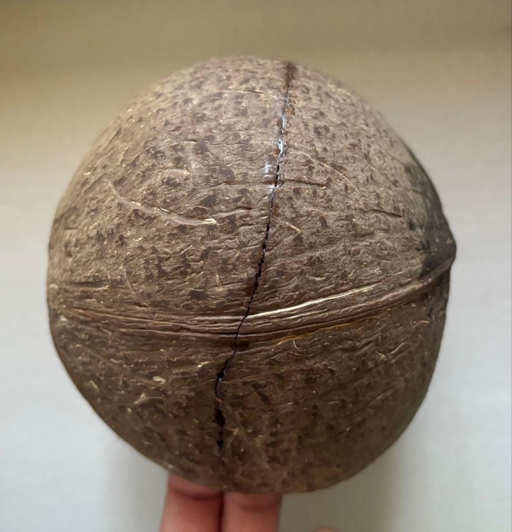 GEX グラステラリウム3045