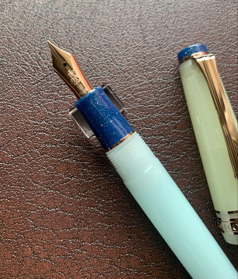 海外限定セーラー万年筆 プロギアスリム ドライフラワーシリーズ アジサイM