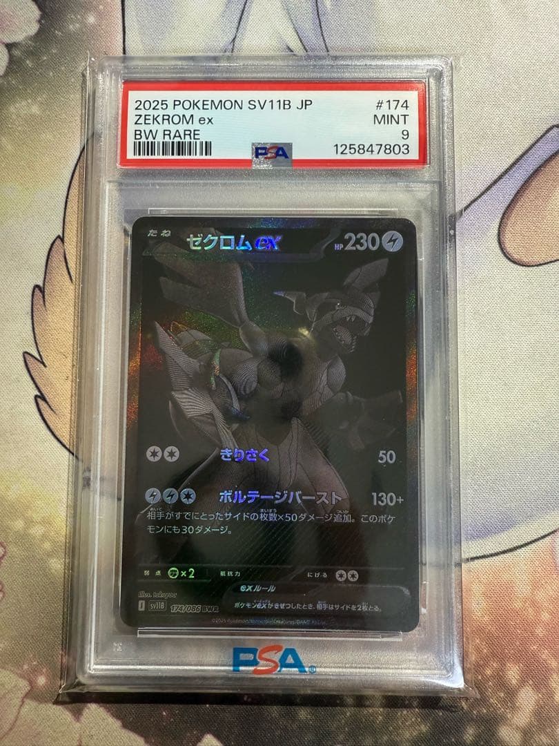 【PSA9】ゼクロムex BWR