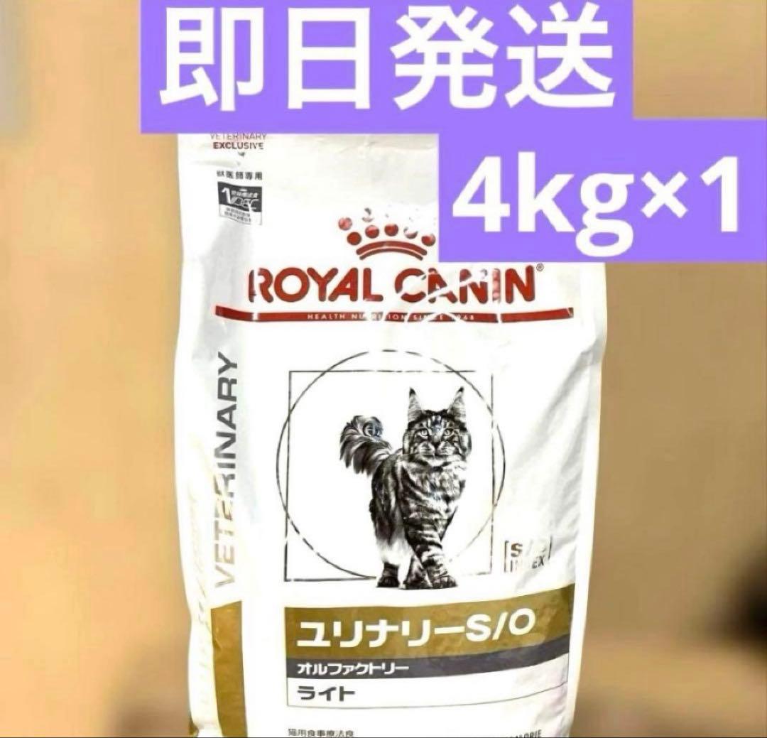 CANIN ユリナリーS/O オルファクトリー ライト 4kg