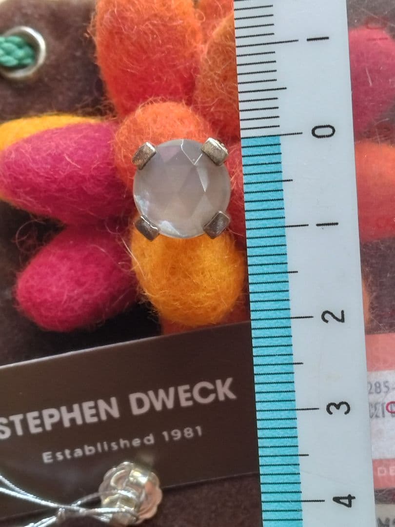 スティーブンデュエック＊Stephen Dwekc ピアス