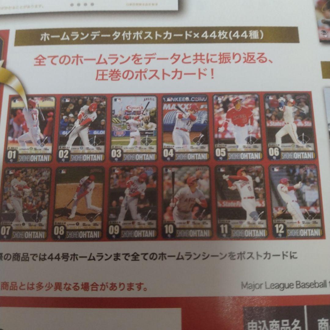 大谷翔平  2023AL ホームラン王獲得記念セット