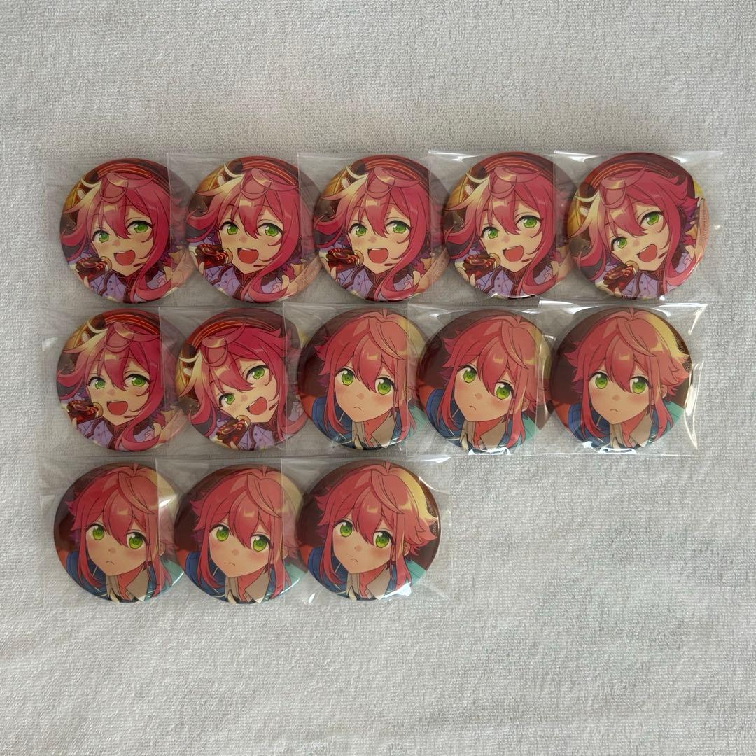 あんスタ フィーチャー2 缶バッジ 姫宮桃李 13個