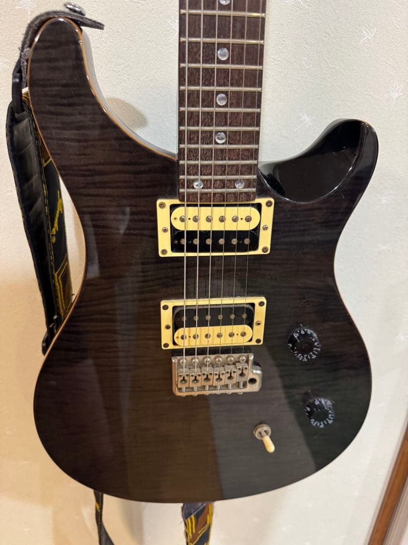 PRS エレキギター SE custom24