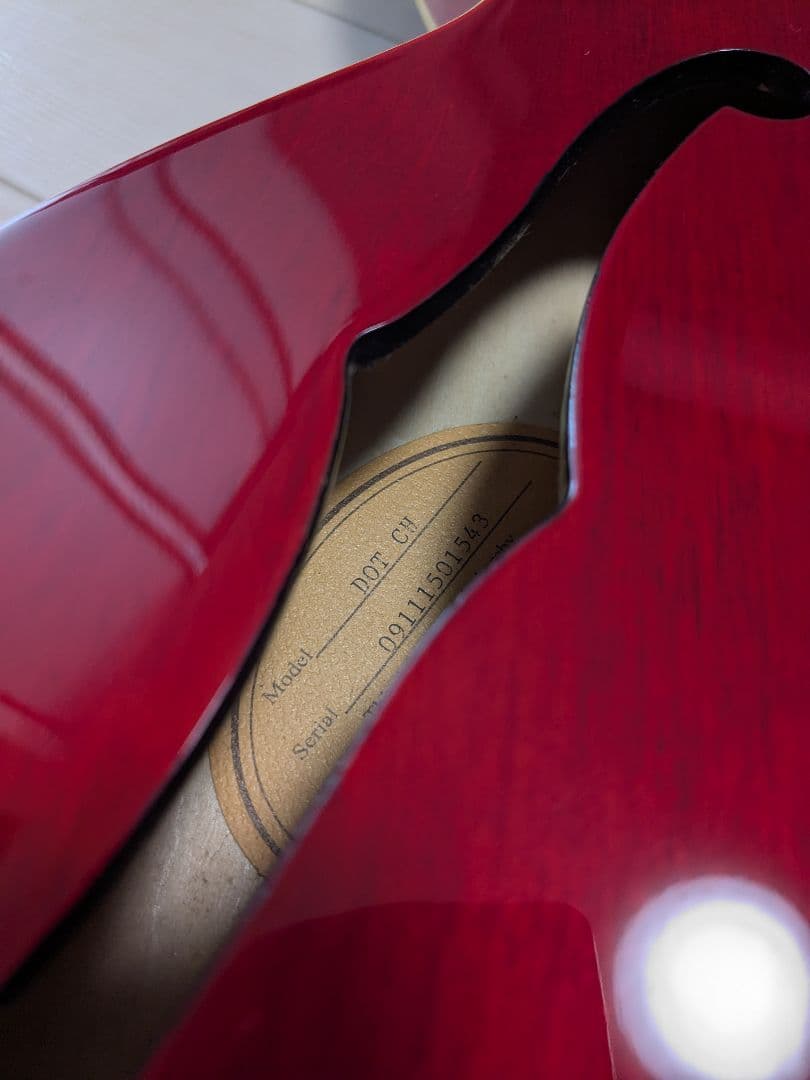 Epiphone Dot セミアコースティックギター