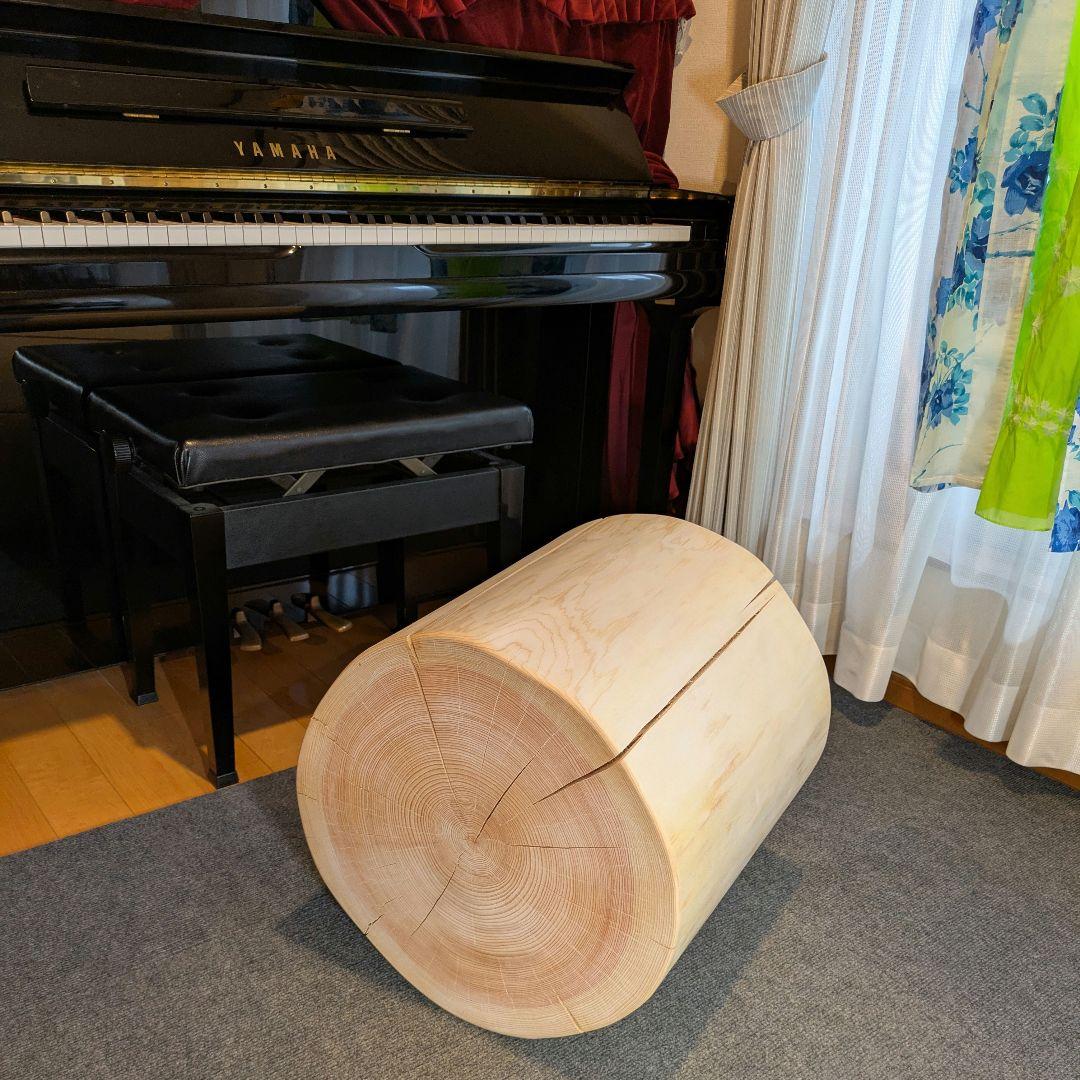 Borsalino　天然檜　特大　切り株　椅子　テーブル　高さ約43㎝