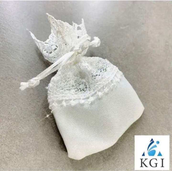 宇宙の流れ星の粉 ✨✨✨✨ レースホワイトフェアリー　✨✨✨