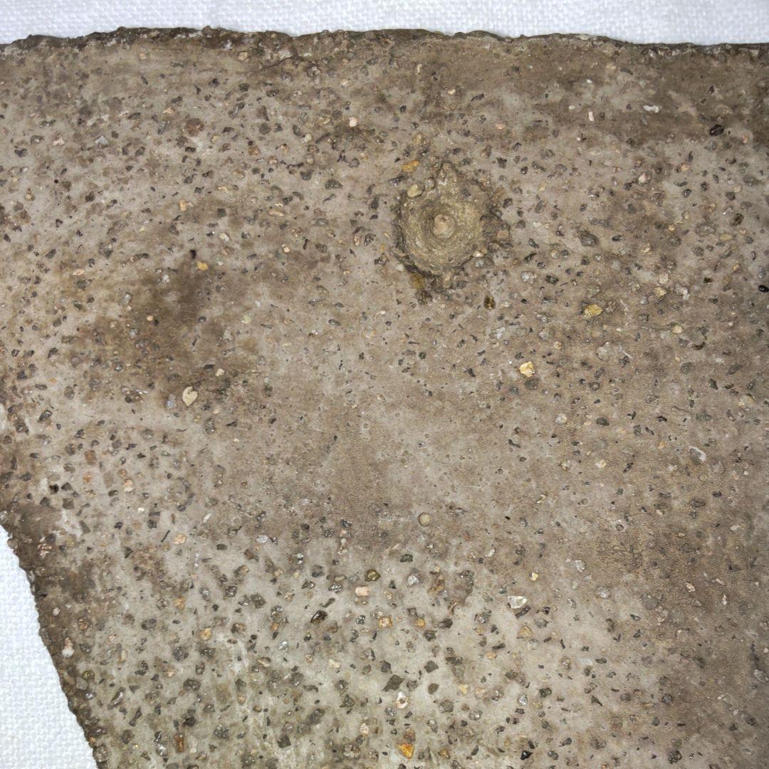 ファラオレリーフ