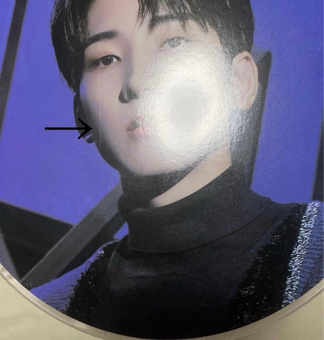 SEVENTEEN ウォヌ ホリコレ うちわ ピケット セブチ