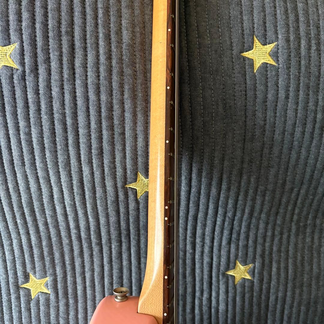 FERNANDES ZO-3 フェルナンデス　ぞうさん