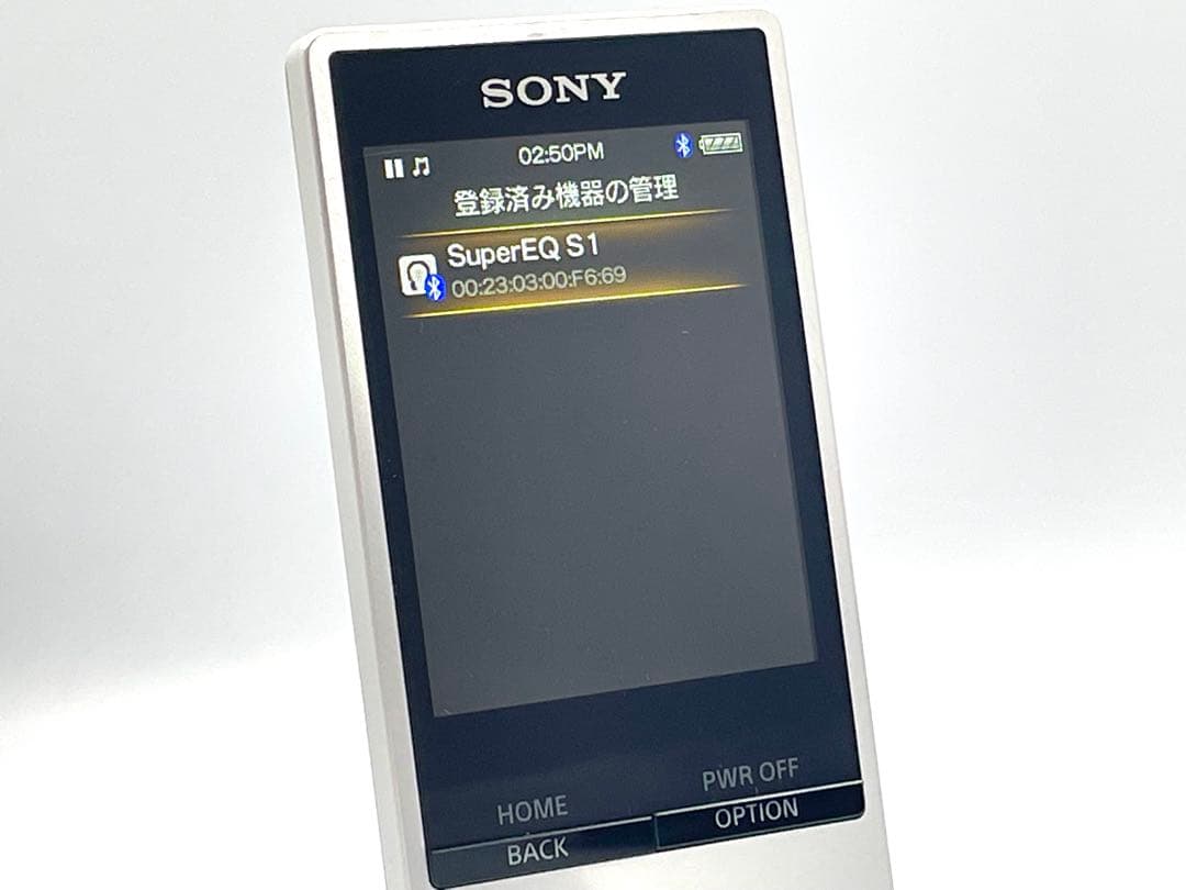 バッテリー良好　外観美品　SONY WALKMAN NW-A16 32GB