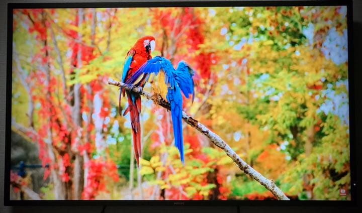 Philipsフィリップス 438P1/11 [43インチ]4K 60hz