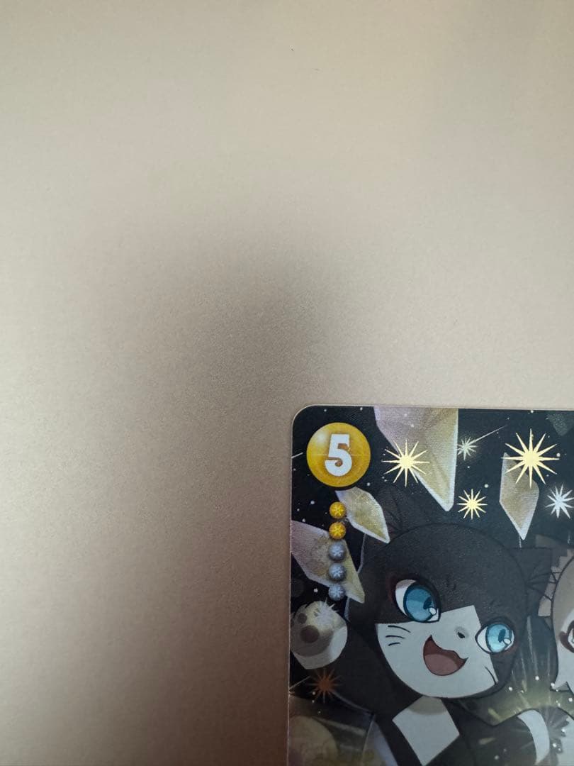 CNPトレカ 奥義:トワとセツナの未来視 P-RR パラレルレア 真贋証明