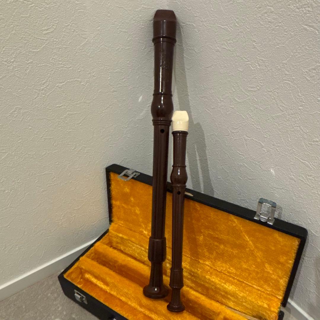 【希少品DOLMETSCH ドルメッチソプラノ・アルトリコーダー ハードケース