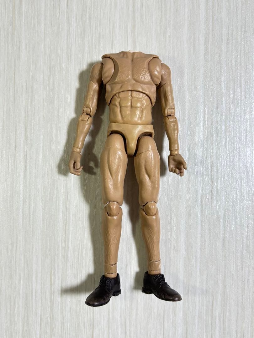 可動域 カスタム フィギュア 素体