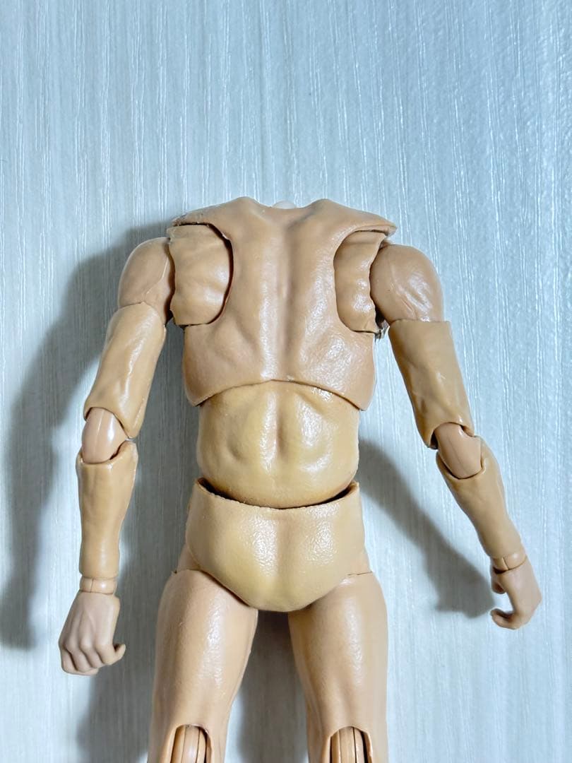 可動域 カスタム フィギュア 素体