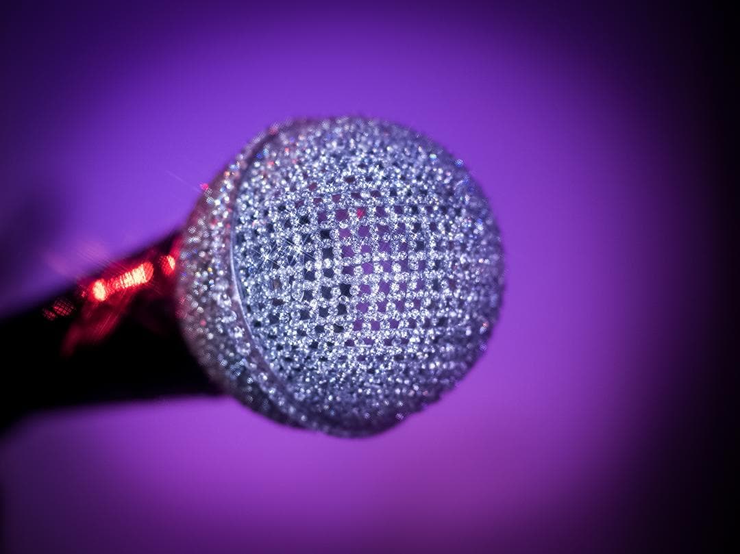 X'MAS SALE 中島美嘉 SHURE SM58 スワロ ジルコニア