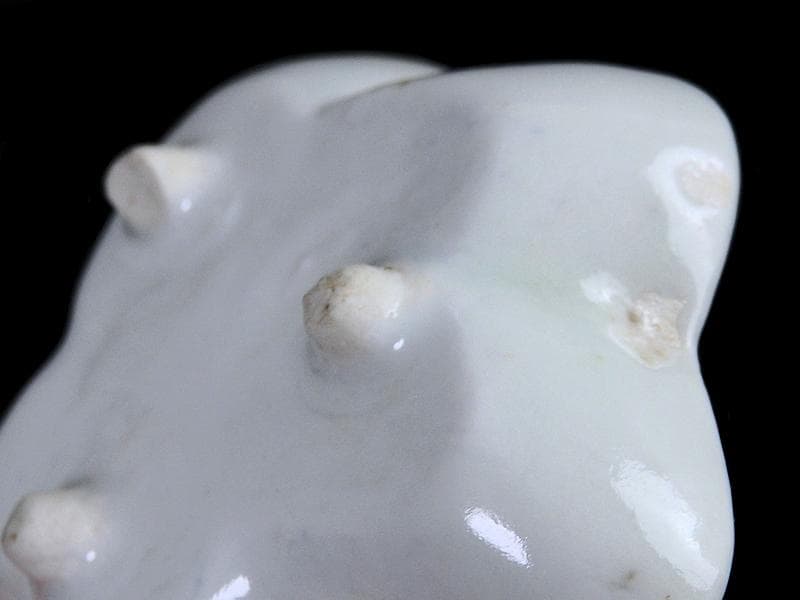 古伊万里　染付　岩に菊の図　梅型変形皿　豆皿　E585AS-CQy