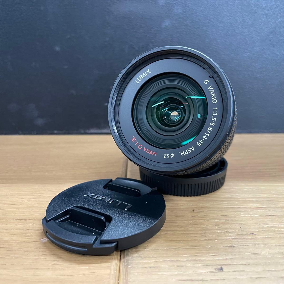 動作品 LUMIX 14-45mm F3.5-5.6 H-FS014045