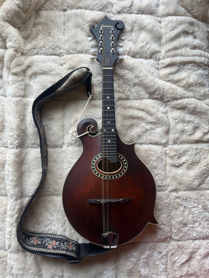 た*ん様 Eastman MD314 イーストマン フラットマンドリン