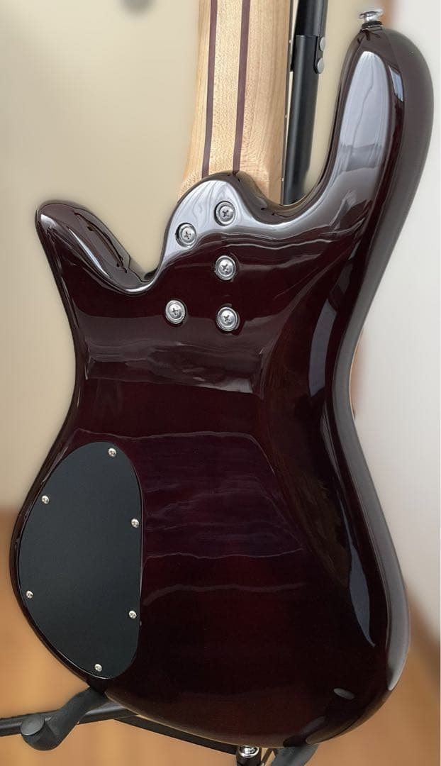 【送料込】Spector 5弦ベース「特別仕様」