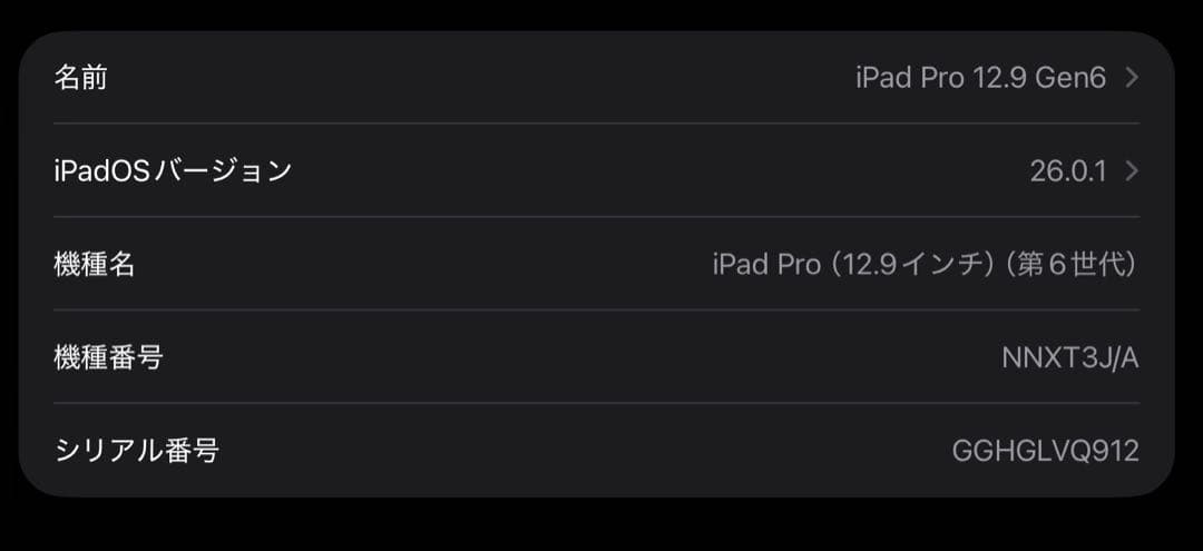 iPad Pro 12.9 第6世代 256GB Wi-Fiバッテリー100%