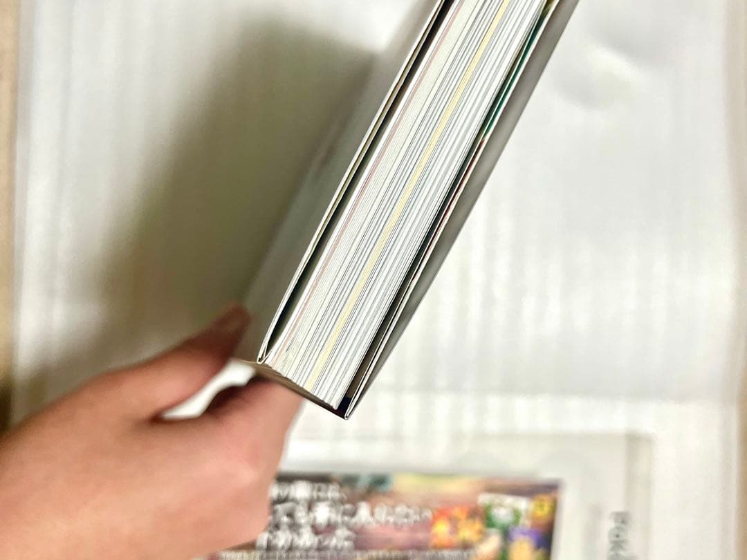 Pokémon Card Game Art Collection【特典カード無】