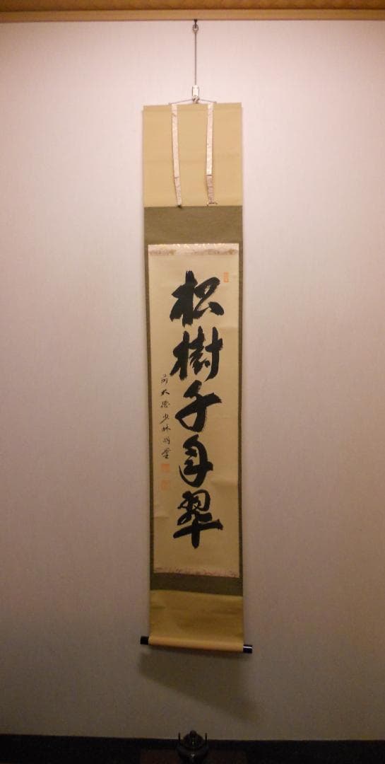 掛け軸 少林寺 横井明堂 筆「 松寿千年翠 」 紙本 茶掛 掛軸 美品