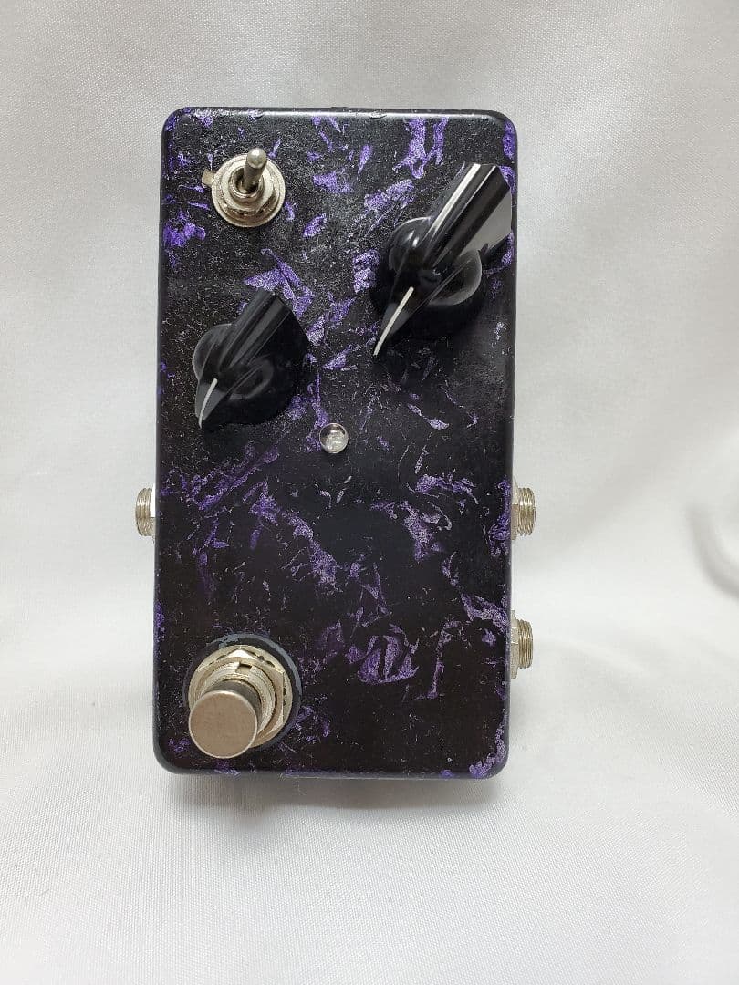 ギター S.S.B.LAB Electortion