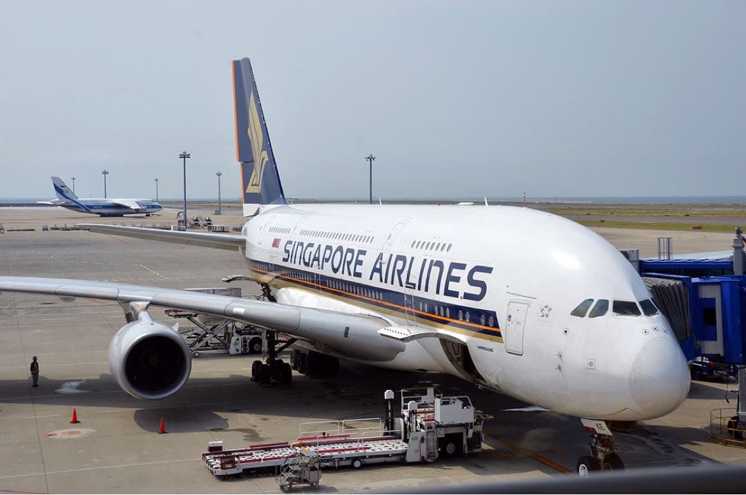 ももんじゃさん専用 モンブランスターウォーカー エアバスA380ファインライナー