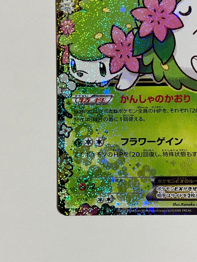 シェイミEX ポケキュン