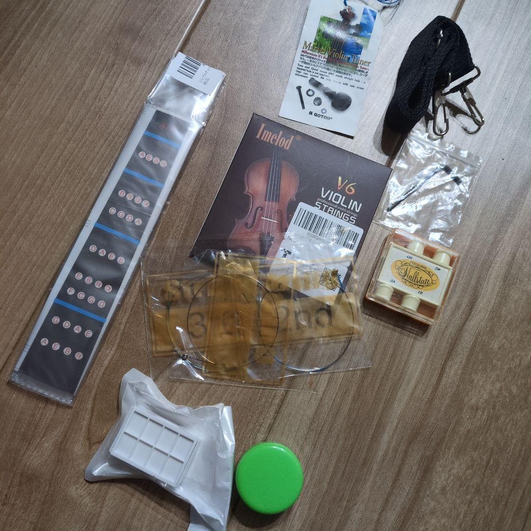 エレクトリックバイオリンHallstatt CV-210E 4/4 エレキ