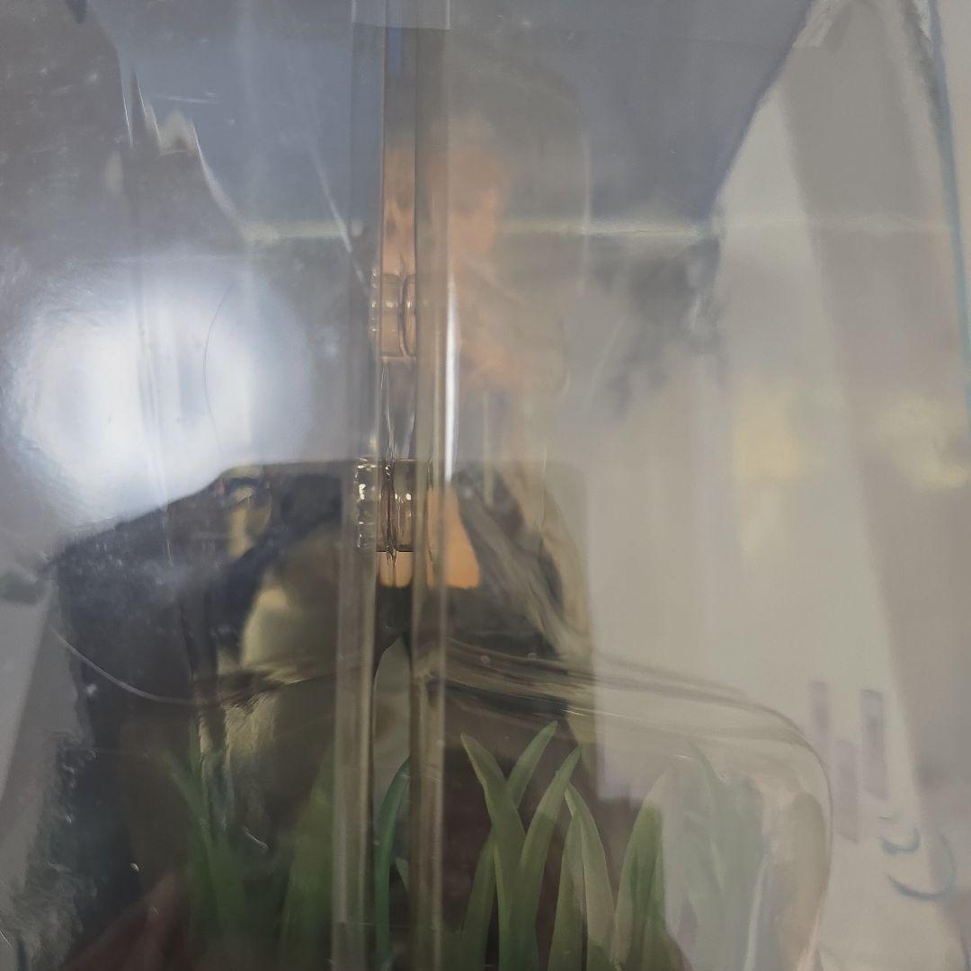 夏目貴志(リニューアルver.) 「夏目友人帳」 1/8 PVC製塗装済み完成品