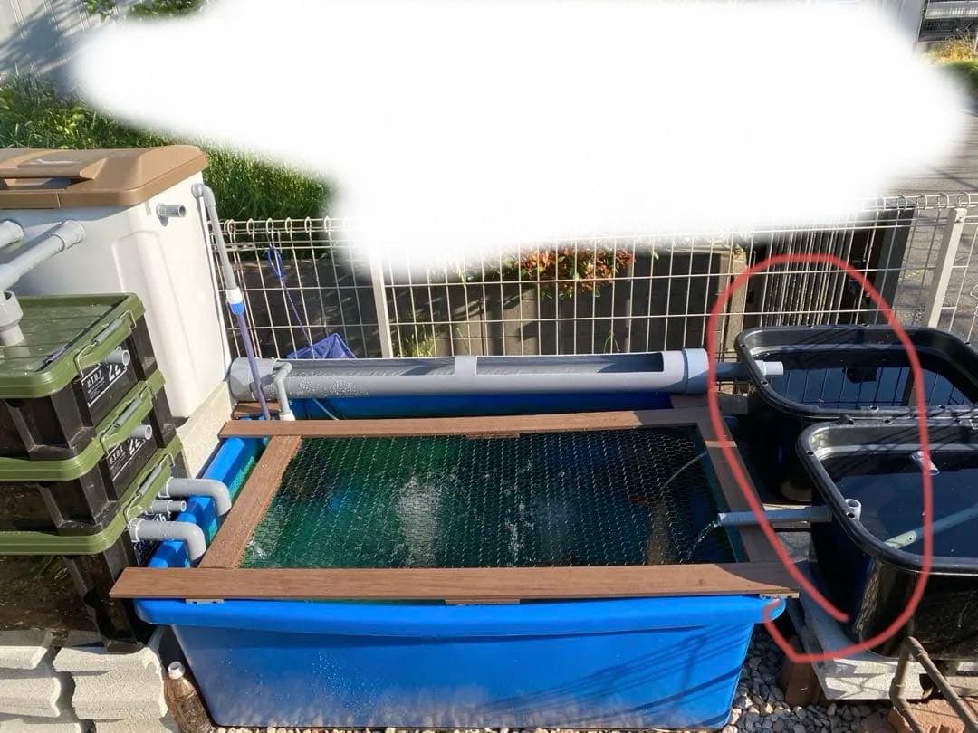 複数セット商品 自作 子水槽 その他